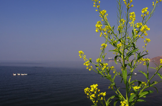 洱海风光