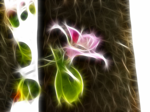 抽象畫(huà) 裝飾畫(huà) 夢(mèng)幻效果 抽象花卉 紫金花 紫荊花