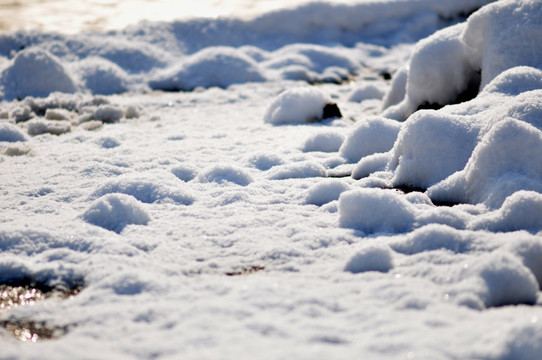 雪韵