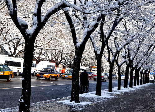 雪景