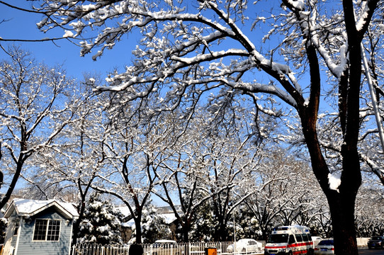 雪景