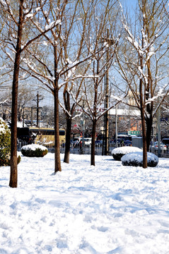 雪景