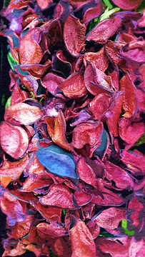 抽象畫(huà)花瓣