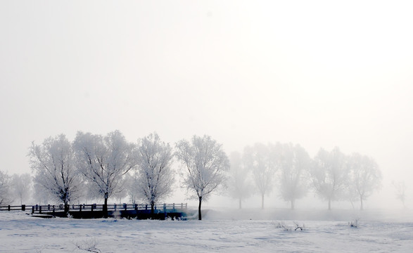 北国冰雪景观