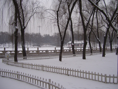 公园雪景