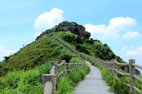 巅峰之路