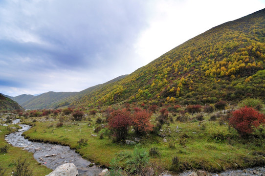 甘肃山区景观