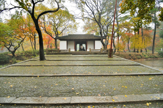 天平山枫叶