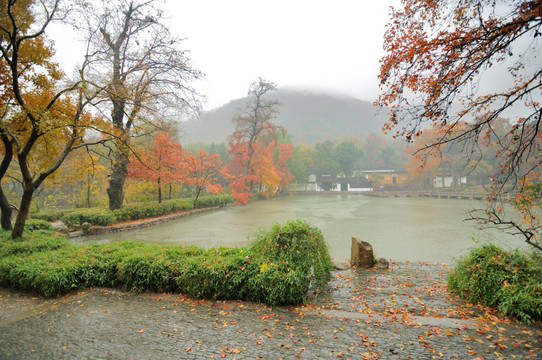 天平山枫叶