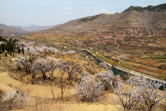 春天的小山村