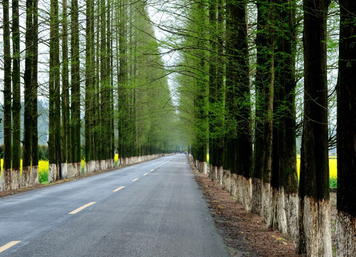 道路