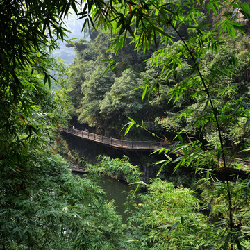 三峡人家