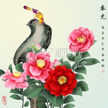 茶花 春光