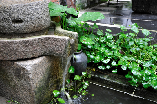 广州小洲村 院落一角