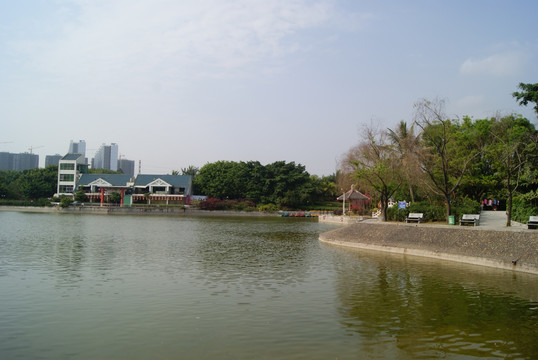 深圳中山公园湖景