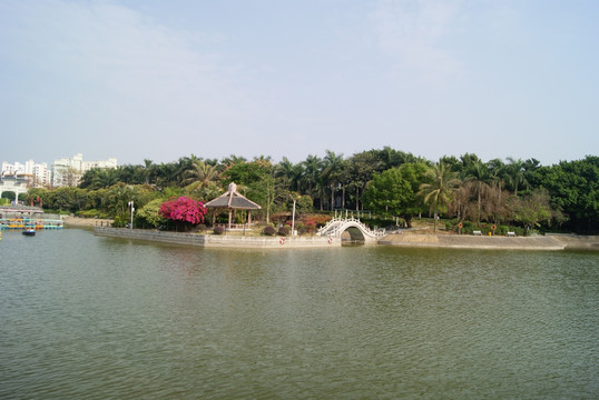 深圳中山公园湖景