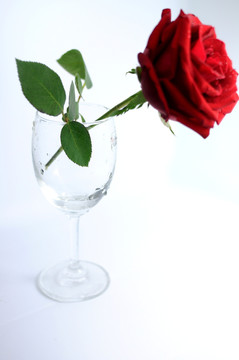 高脚杯与玫瑰花