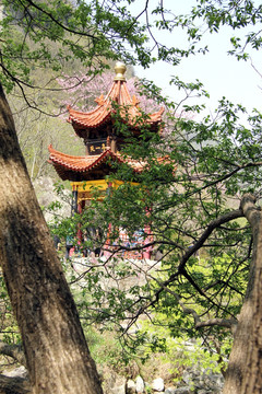 汉中黄花河风景区