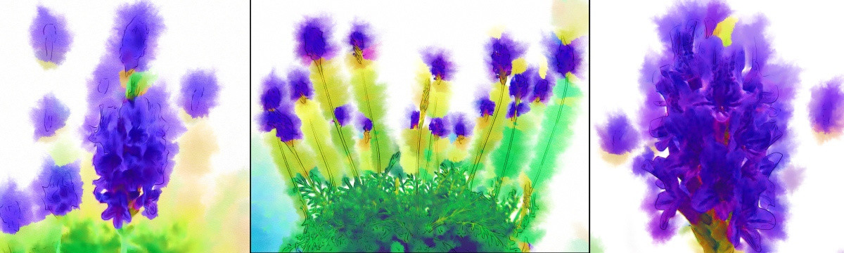 熏衣草無框畫  抽象花卉