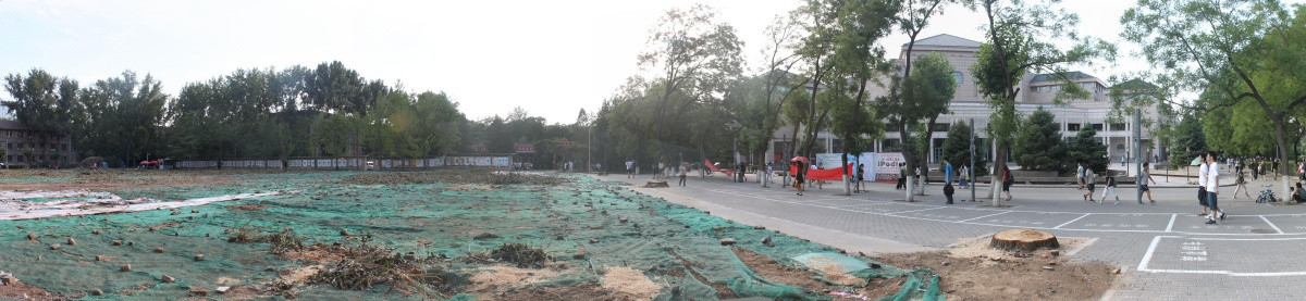 北京大学砍树180度全景