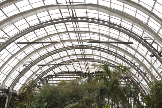 热带植物园顶棚