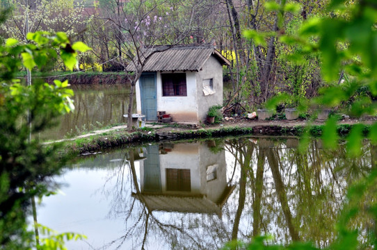 村头小景