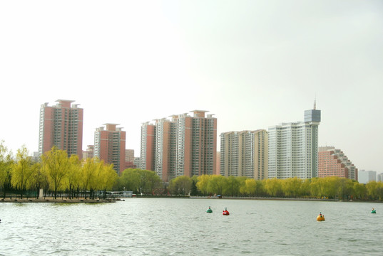 滨湖建筑居民楼