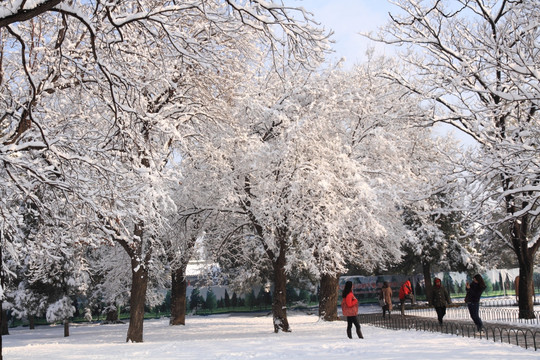 雪挂游人