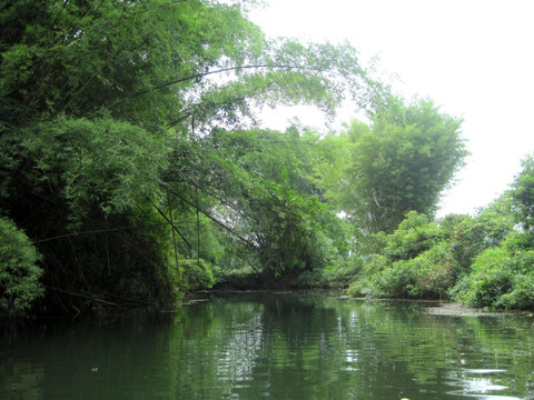 小河竹筏漂流