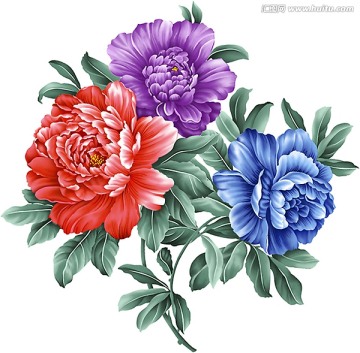 牡丹花（通道分色）
