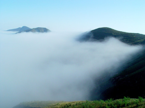 雾山云海