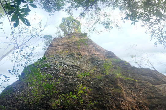 青城山石笋峰