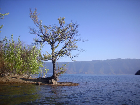 泸沽湖