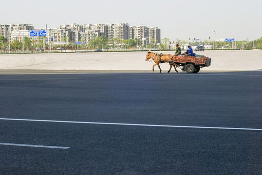 公路上的马车