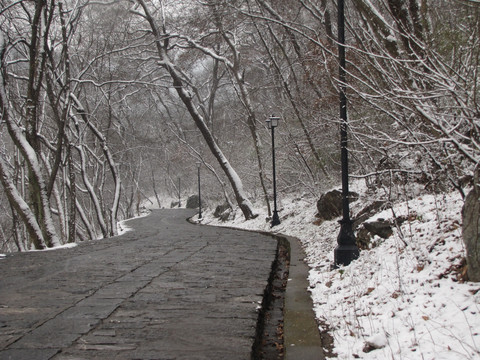 琅琊山古道残雪