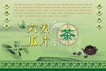 六安瓜片茶包裝