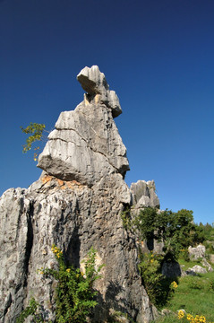 云南石林景区