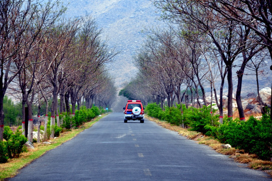 景区公路