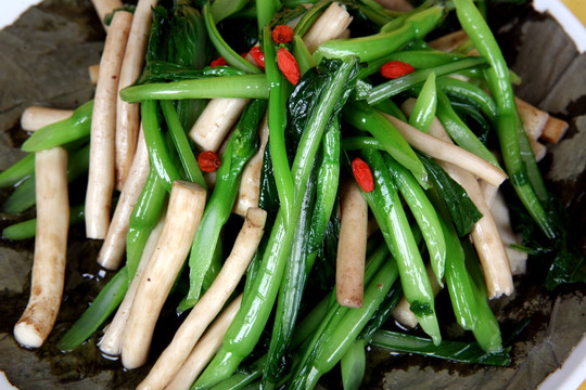 欖菜蒸菜心茶樹菇