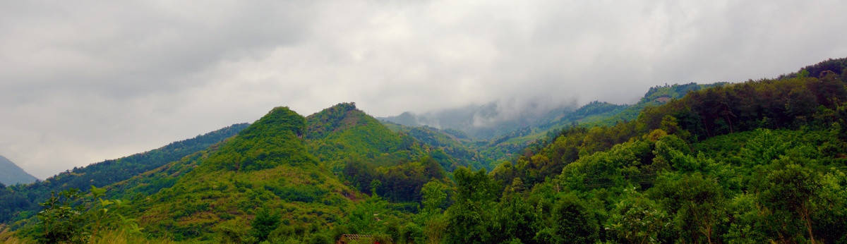 山野神境