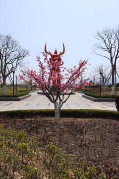 樱花 樱花树