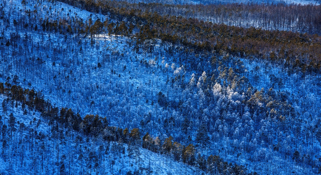 森林雪山