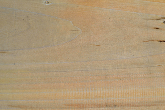 木纹 纹理 树纹