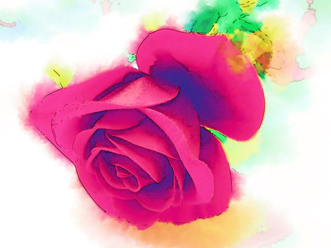 玫瑰花 水彩畫(huà)