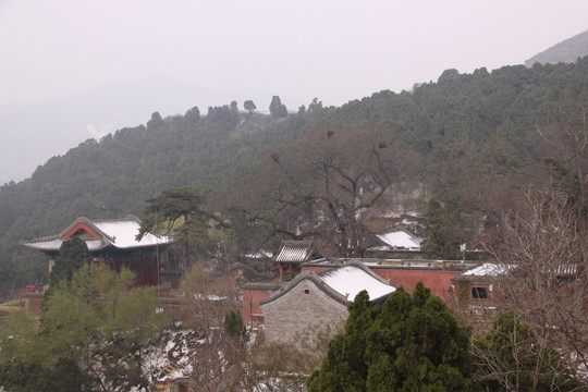 龙泉寺