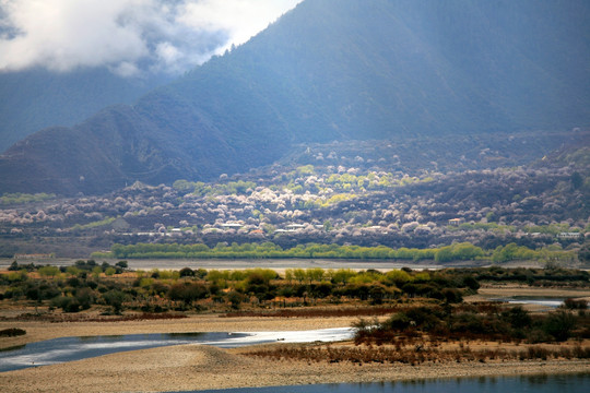 尼洋河