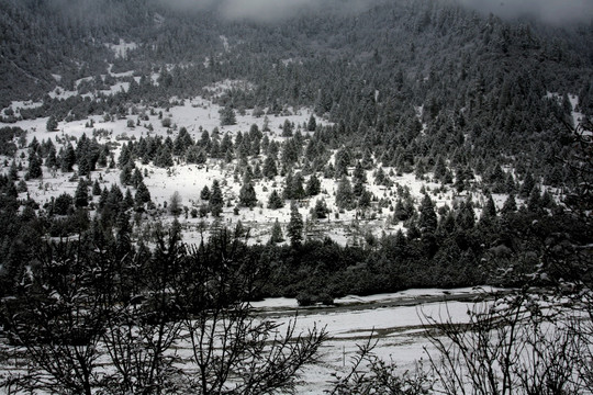 林海雪景