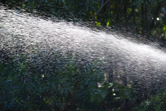 水花