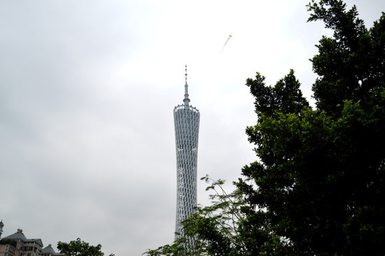 广州塔 广州风景