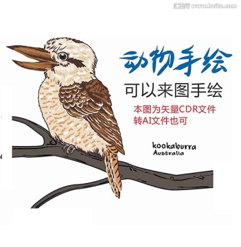 手繪動物植物